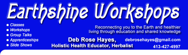 Deb Hayes, Earthshine, Workshops, herbal talks, seminars, apprenticeships...  creating health in a toxic world.
