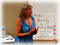 Deb Hayes presenting a workshop in 2005